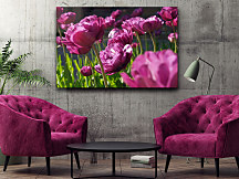 Úžasný obraz s tulipánmi zs1299